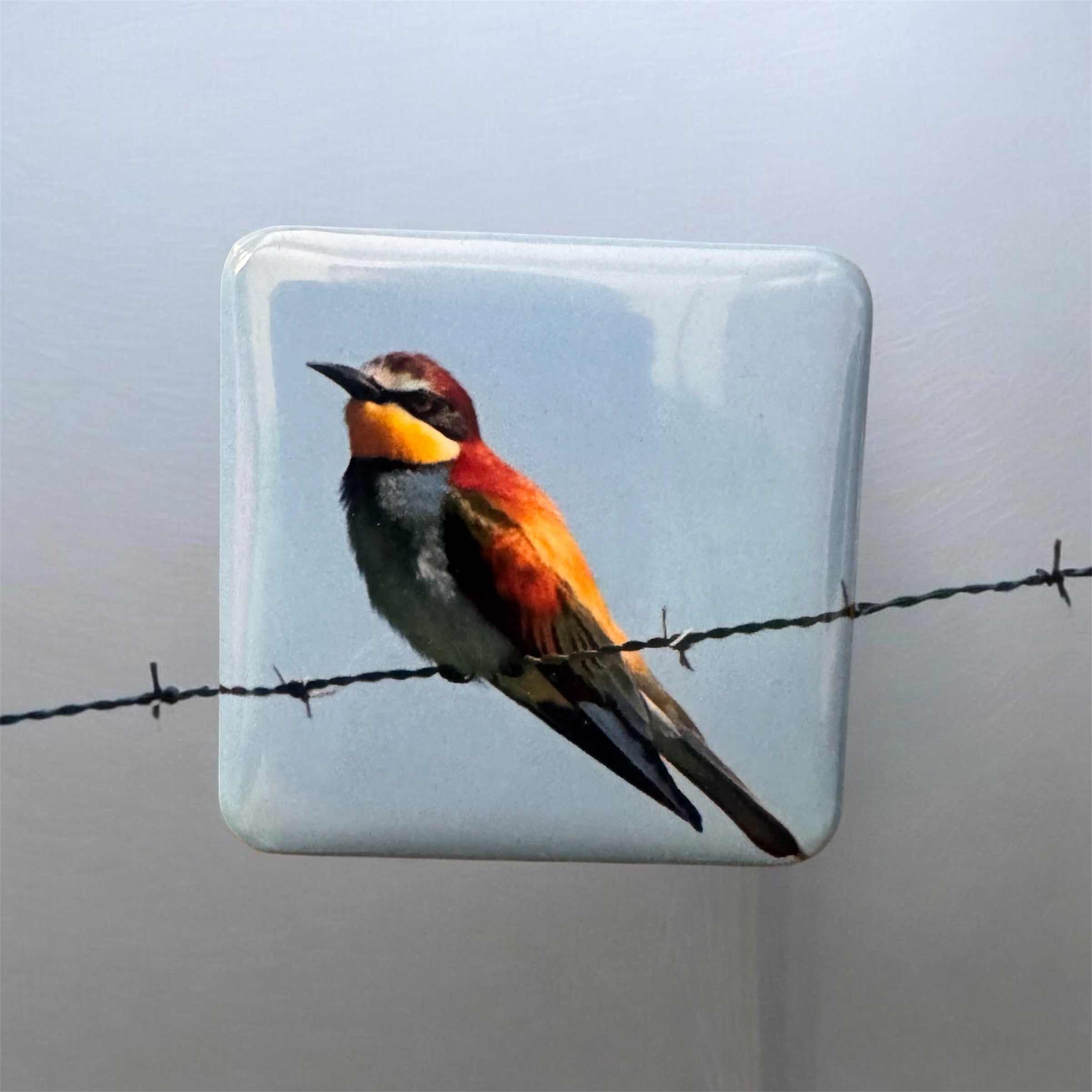 3 Pack Custom Photo Magnets