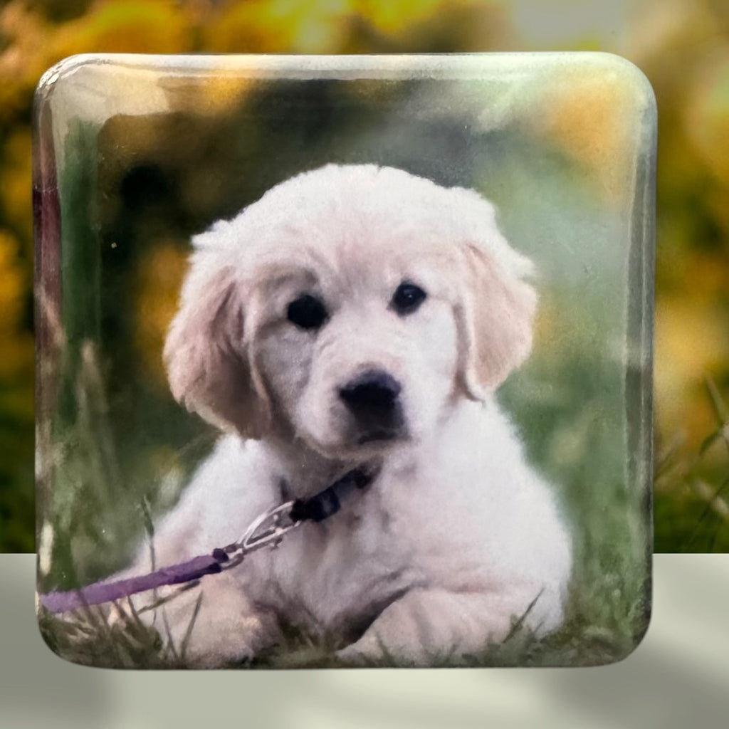 20 Pack Custom Photo Magnets